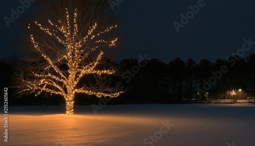 Bare tree adorned with glowing lights stands in snowy landscape at dusk