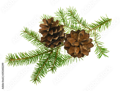Fir tree branch with cones in PNG format, perfect for creating festive, nature-inspired holiday visuals.