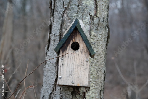 Obraz na płótnie birdhouse on a tree