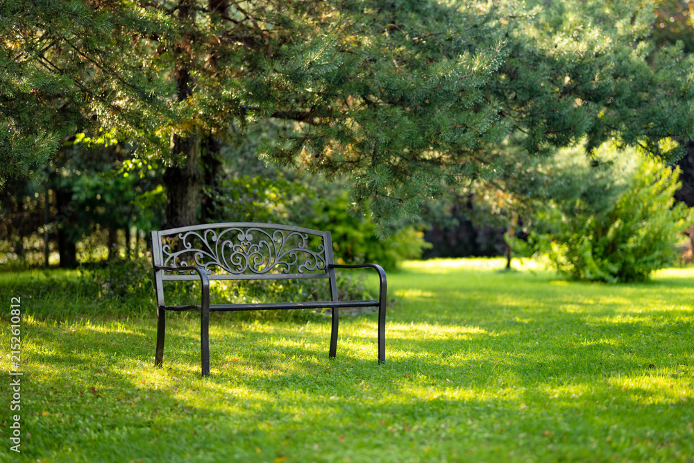 Fototapeta premium Empty metal bench stands under trees in a peaceful green garden on a sunny summer day. Quiet shaded seating area creates a relaxing outdoor atmosphere.
