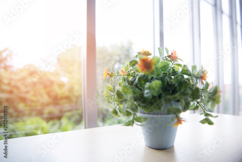 Potted Flowering Plant on Table by Bright Window in Cozy Home Interior