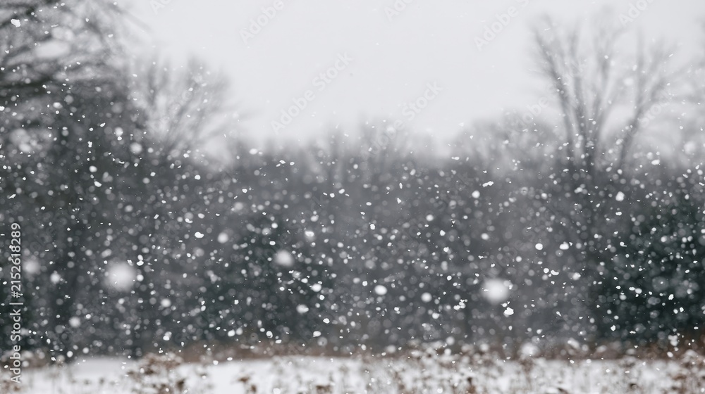 Fototapeta premium Snowfall backdrop for winter and seasonal brand content