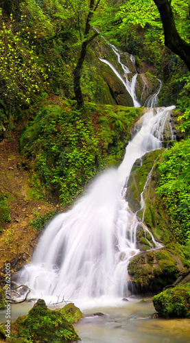 Obraz na płótnie Small cascading waterfall in a deep green forest with landscape photography wate