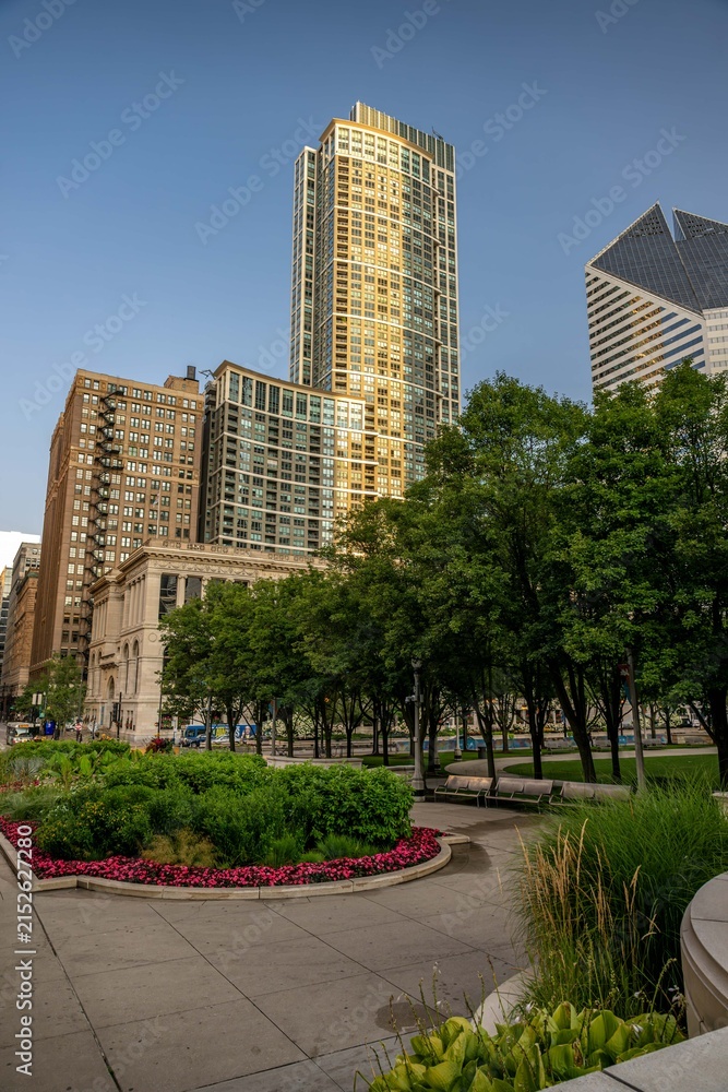 Fototapeta premium Chicago, Illinois