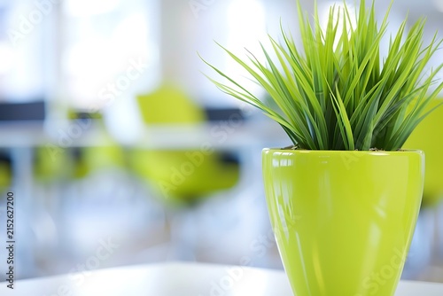 Bright Green Grass Plant in Ceramic Pot on White Table