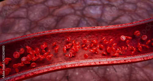 Red blood cells in motion inside vein structure, used for medical presentation, human anatomy illustration, and health education materials related to blood science, 3D Rendering