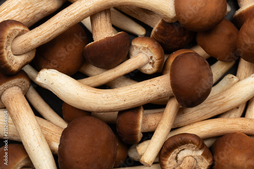 Pile of raw Yanagi mushrooms, Top view