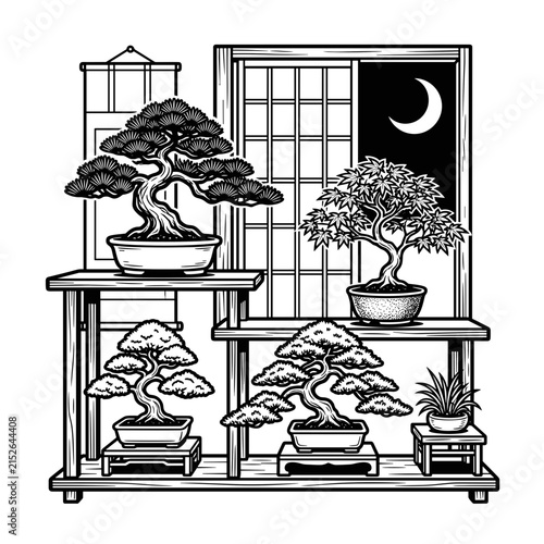 Four Bonsai Trees on Shelves by a Window at Night.