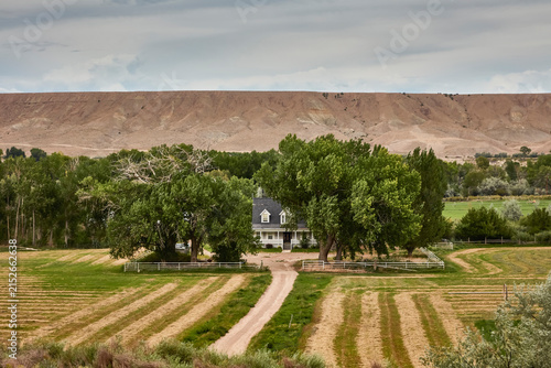 Canvas Print Green trees surrounding a house in a valley with field rows in front