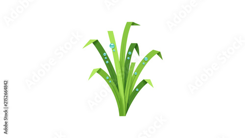 Stylized Green Grass with Dew Drops