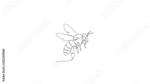 Minimalist One Line Bee Drawing Illustration