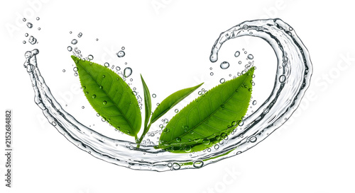 Two vibrant green tea leaves nestled within a dynamic swirling water splash, symbolizing a healthy and invigorating beverage experience