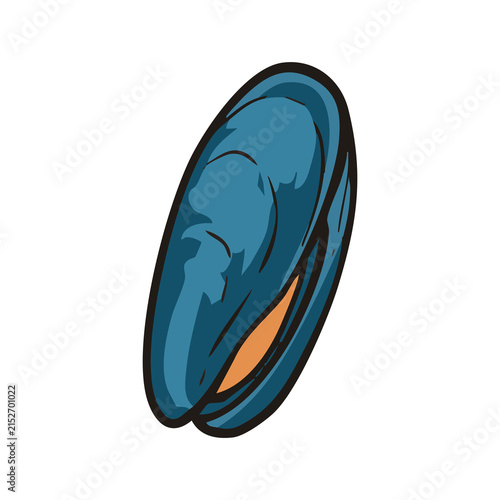 Foto Blue Mussel Seafood Shell Illustration
