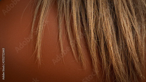 close up of blonde hair strands over warm brown surface