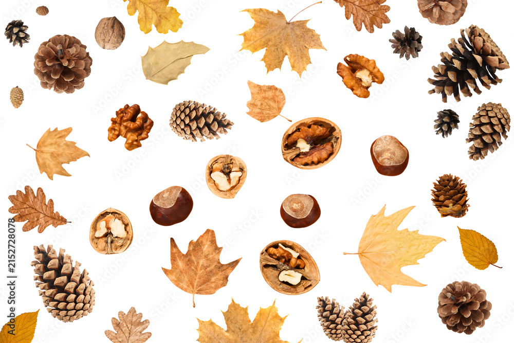 Fototapeta premium Natural collection of leaves, pinecones, and nuts spread across table, PNG