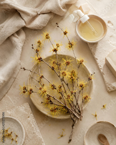 Witch hazel natural floral cosmetic still life with branches and oil