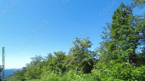 【4K】快晴の山道を走る車窓風景：雄大な山並みと緑豊かな樹々。青森の深山を駆け抜ける爽快ドライブ映像素材　[4K] Driving Through Sunny Mountain Pass Road: Clear Blue Sky and Lush Forest POV View in Aomori Japan　撮影日：20260803-1