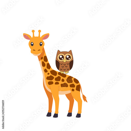 Photography giraffe and owl