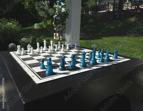 Canvastavla Large outdoor chess set with white blue pieces arranged on stone table, park gar