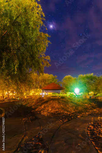Fotografía palapa or thatched roof on a starry night with the Milky Way in the background i