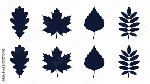Set of Tree Leaf Silhouettes Including Oak Maple Birch and Rowan.