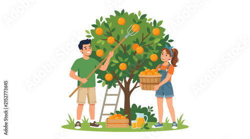 Happy young couple harvesting ripe oranges from a tree in a sunny garden flat vector element