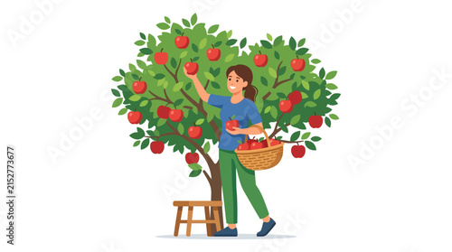 Young woman picking ripe red apples from a green tree during harvest season flat vector element