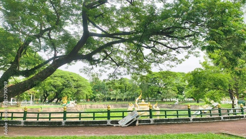 Fotografie Serene Riverside Park: A large, ancient tree with sprawling branches overlooks a tranquil park with a decorative fence along the river, surrounded by lush greenery