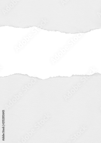 Torn paper edge with transparent background for design elements