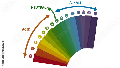 Educational infographics explaining potential of hydrogen scale parameters. The colorful presentation displays acid level, neutral property, and alkali value for school chemistry learning