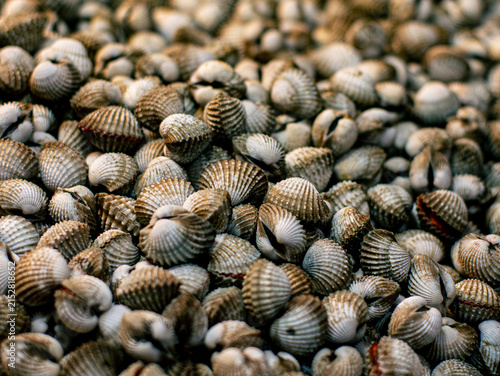 Bild auf Leinwand Fresh Blood Cockle Shells Piled Together Close Up Seafood Market Texture