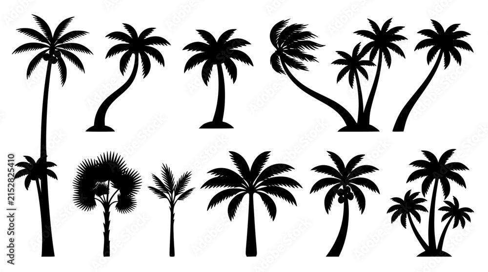 Fototapeta premium Palm Trees Silhouette Vector Set in Simple Black and White Tropical Design
