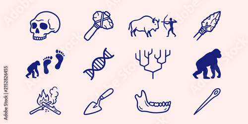 Human evolution and anthropology icons depicting prehistoric life and tools with evolution anthropology prehistoric archaeology arrowhead footprints wildlife education genealogy development