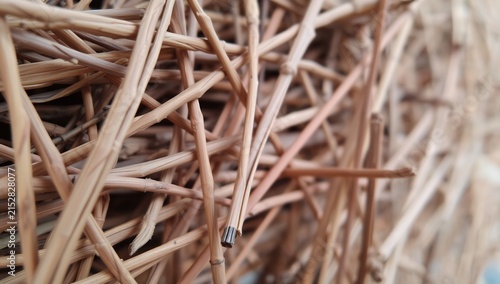 Close up macro of woven natural twigs texture background with intricate details