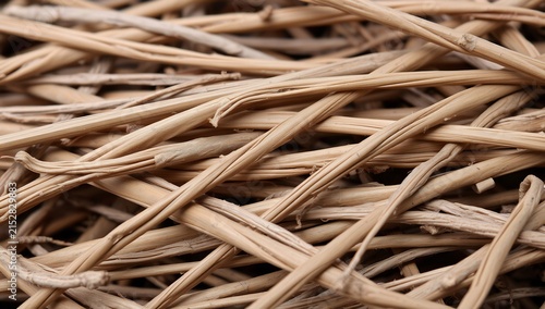 Close up macro of intertwined natural twigs with textured surface