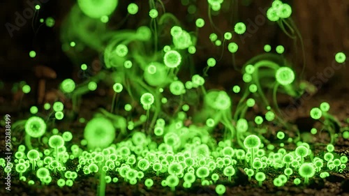 Magical Bioluminescent Green Mushrooms Glowing in a Dark Forest