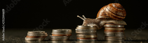 Slow Growth on Coins: A snail slowly ascends a stack of coins, symbolizing the gradual and often painstaking progress of wealth accumulation or business development.