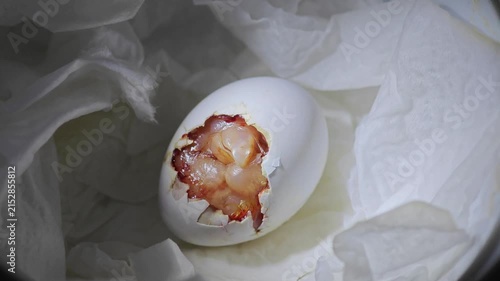 The bird hatched from the eggshell.