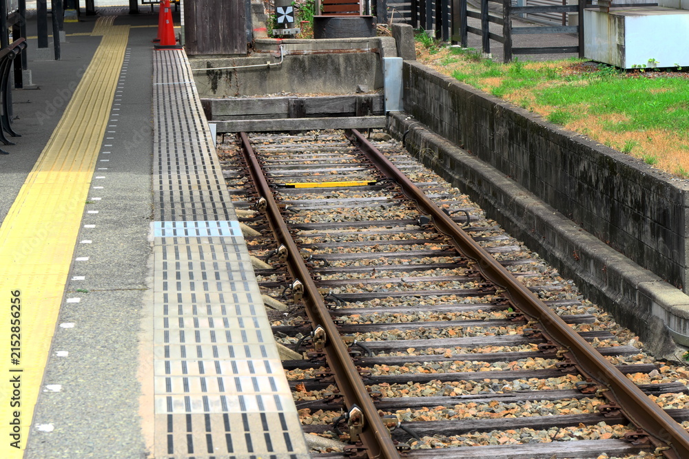 Fototapeta premium 豊かな緑に囲まれたノスタルジックなローカル線の駅とプラットホームの風景