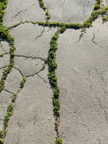 stone road in the grass