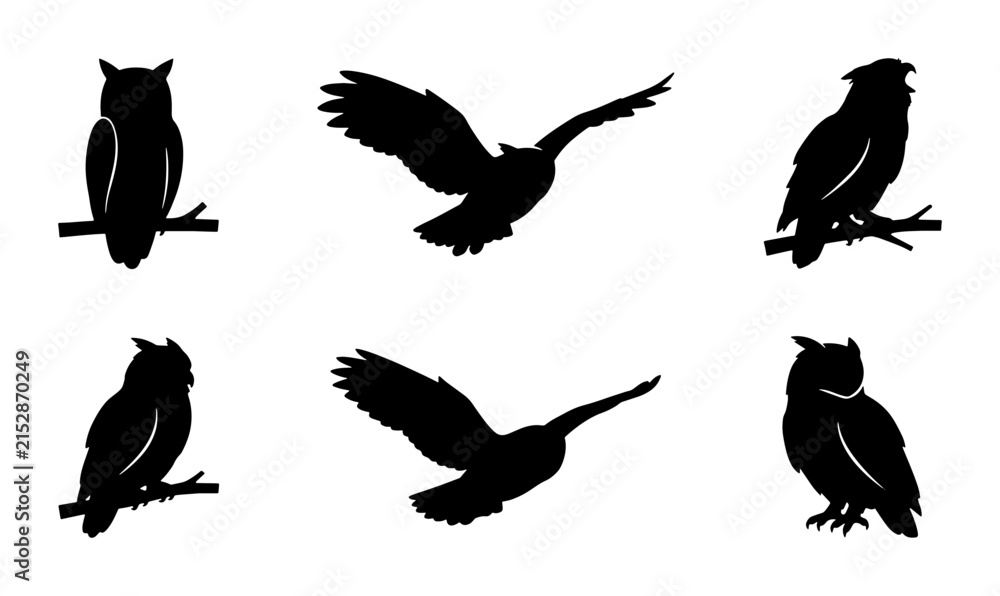 Obraz premium Owl silhouette collection, 6 black bird icons in flight and perched, nocturnal raptor vector set for nature logos and wildlife design