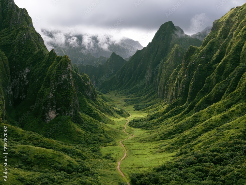 Fototapeta premium Dramatic lush green mountain valley with narrow path winding between sharp peaks under cloudy sky breathtaking landscape of tropical mountain range and wilderness