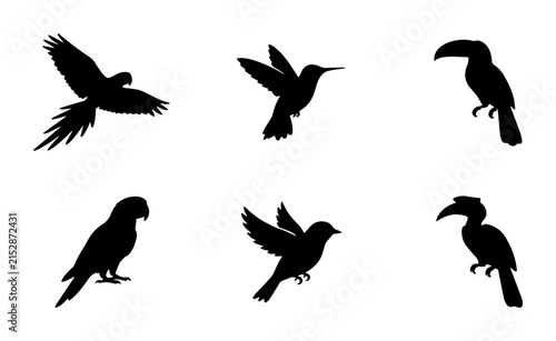 80 Six Silhouette Bird Vector Icons: Parrot, Toucan, Hummingbird, Hornbill, and Passerine Collection for Nature and Wildlife Designs 100