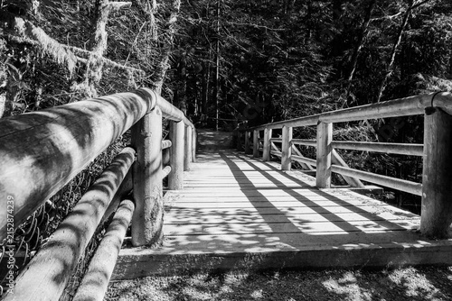 black and white Wooden footbridge crossing a stream in a green forest. Scenic view of nature. Concept of a peaceful journey in a quiet, mysterious wilderness landscape