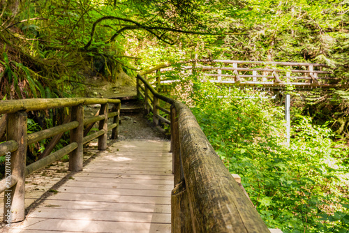 Wooden footbridge crossing a stream in a green forest. Scenic view of nature. Concept of a peaceful journey in a quiet, mysterious wilderness landscape
