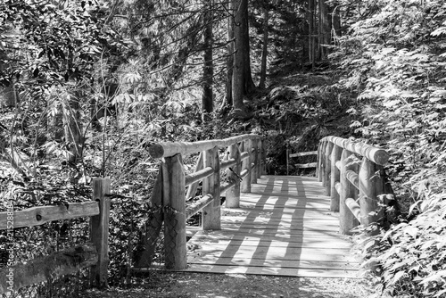 black and white Wooden footbridge crossing a stream in a green forest. Scenic view of nature. Concept of a peaceful journey in a quiet, mysterious wilderness landscape