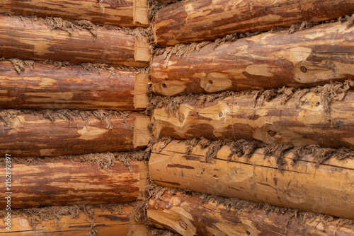 фотографія Wooden logs showing  stacked in a row for construction