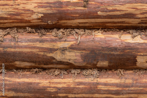 Фотография Wooden logs stacked in a row for construction