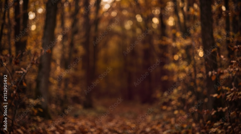 Obraz premium Dark Blurred Autumn Forest with Deep Orange and Amber Foliage, Soft Bokeh and Moody Copy Space for Luxury Seasonal Fall Advertising