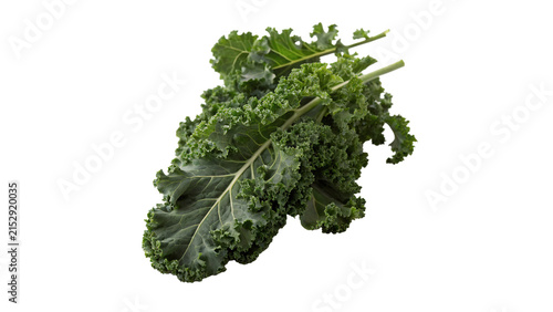 Bunch bunch of fresh raw vibrant green curly kale leaves salad isolated on transparent background